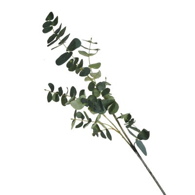 Artificial plant Concepts Eucalyptus